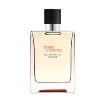Perfume Hermès Terre D'Hermès Masculino Intense Eau de Parfum